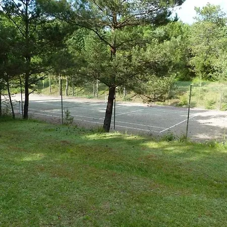 Zecamping 3 Animaux Acceptes Tennis Piscine Et Soirees Animees Luxe tent